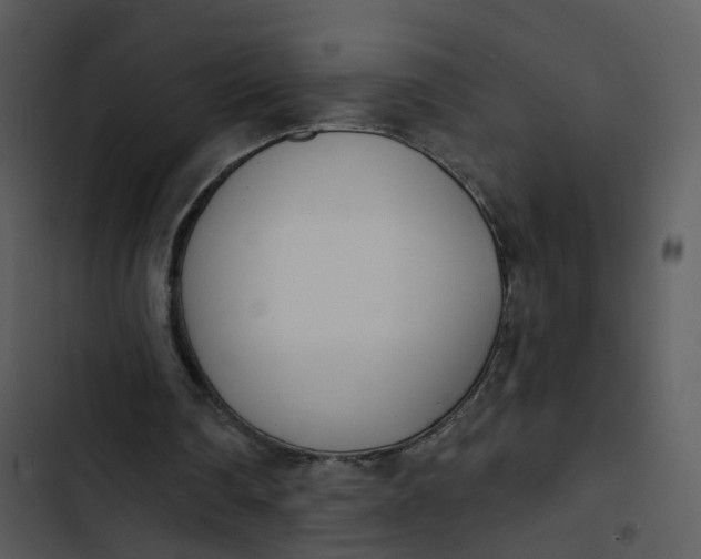 X0000102850290200809081250