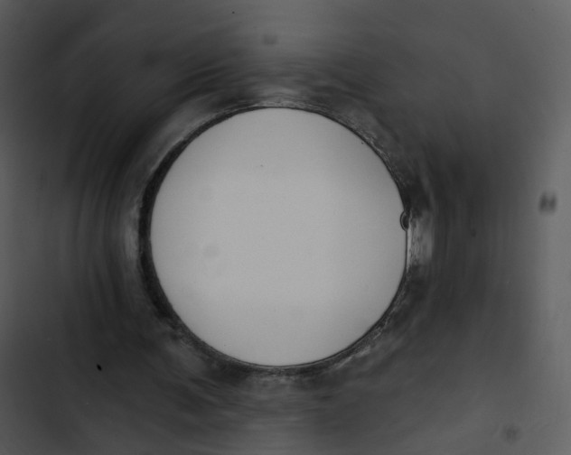 X0000102850291200809081250