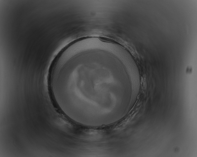 X0000102850292200809081250