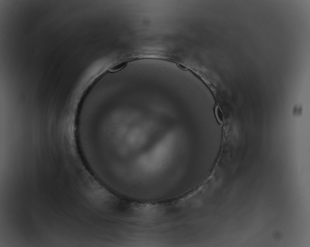 X0000102850293200809081250