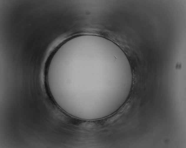 X0000102850294200809081250