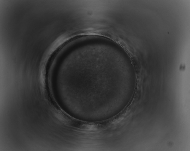 X0000102850295200809081250