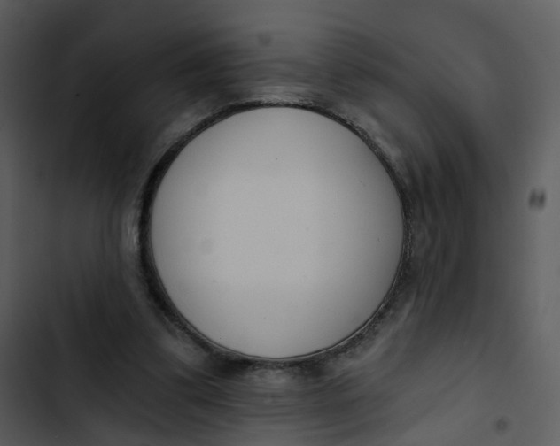 X0000102850299200809081250