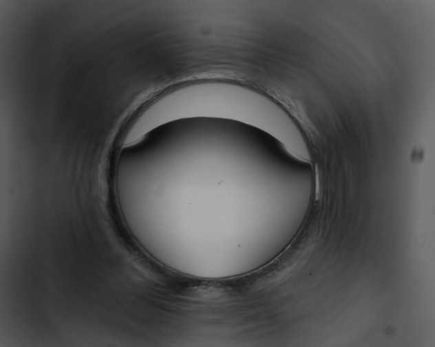 X0000102850300200809081250