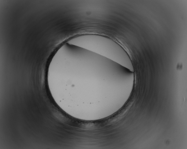 X0000102850301200809081250