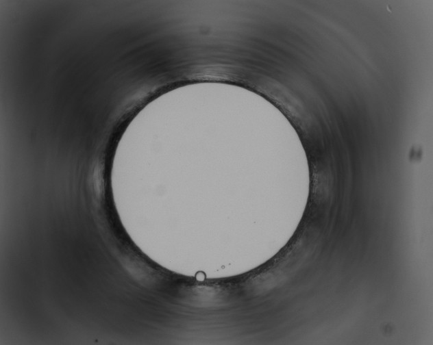 X0000102850302200809081250