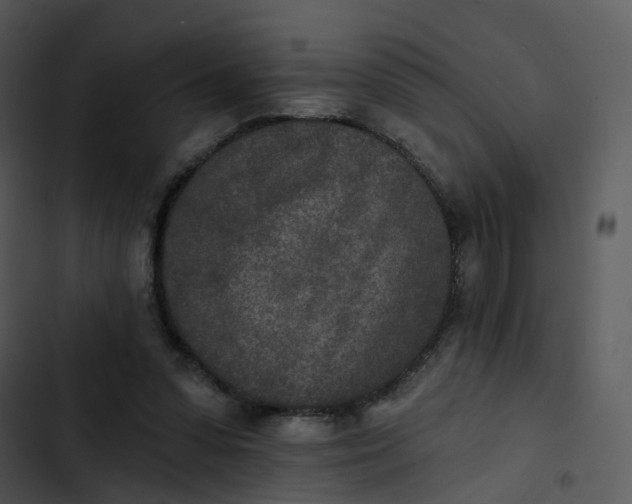 X0000102850303200809081250