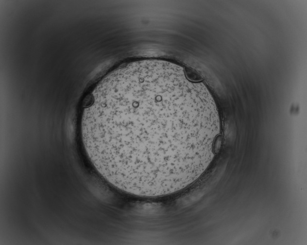 X0000102850304200809081250