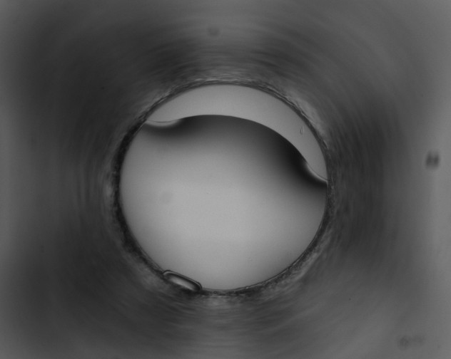 X0000102850305200809081250