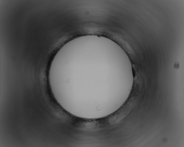 X0000102850306200809081250