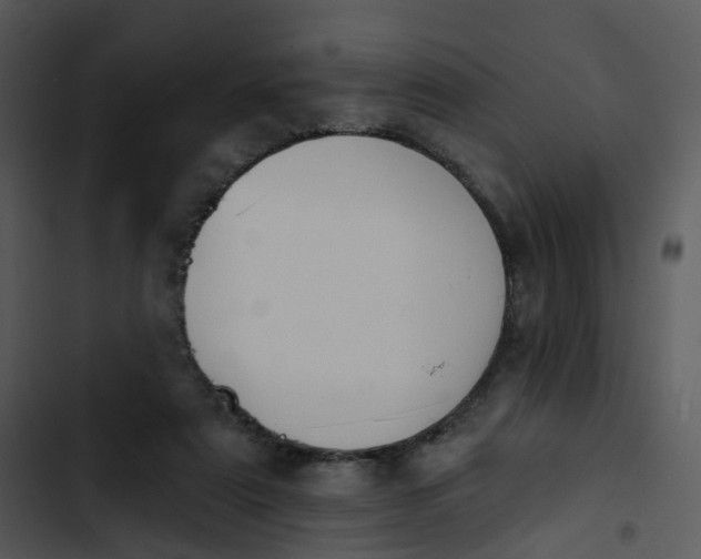 X0000102850307200809081250