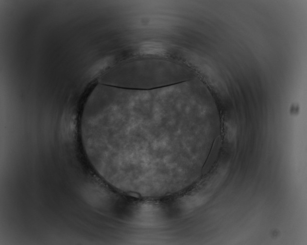 X0000102850308200809081250