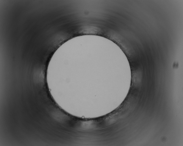 X0000102850309200809081250