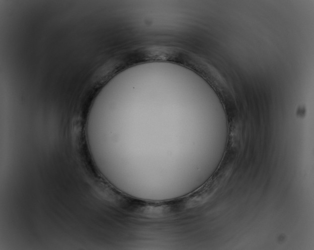 X0000102850314200809081250