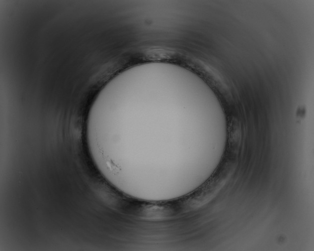 X0000102850315200809081250