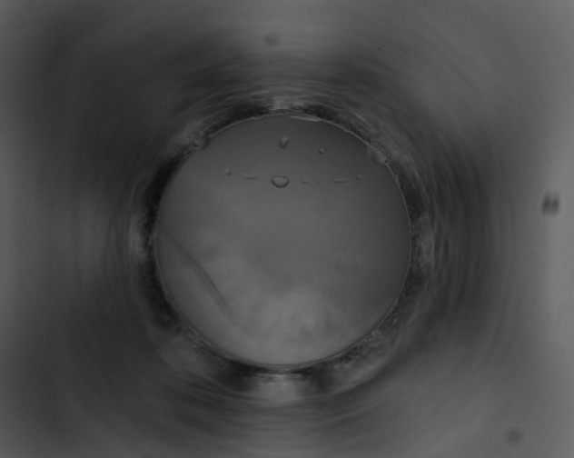 X0000102850316200809081250