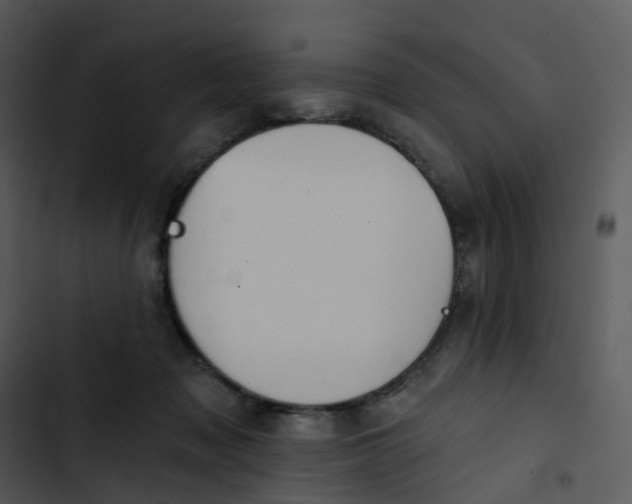 X0000102850317200809081250