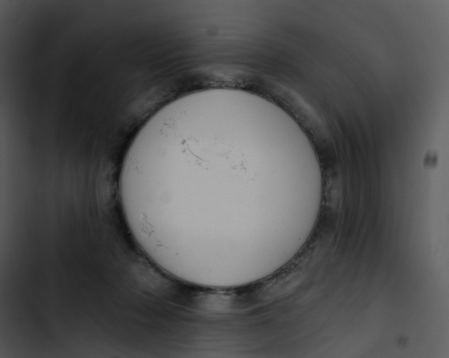 X0000102850318200809081250