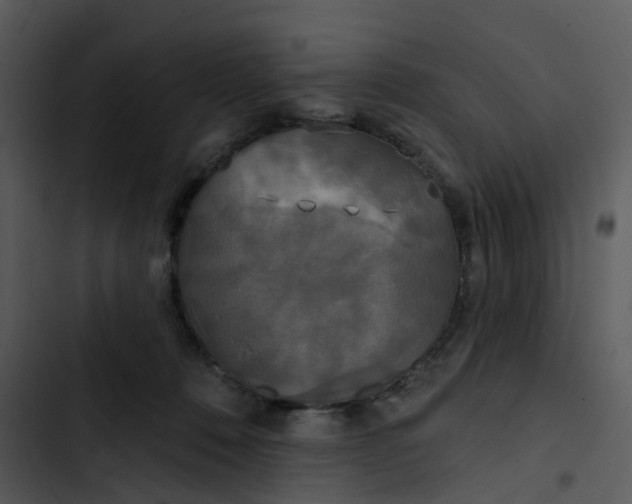 X0000102850320200809081250