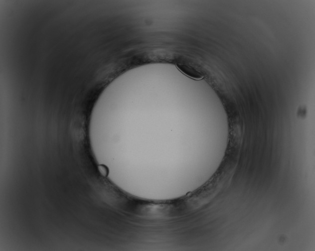 X0000102850323200809081249