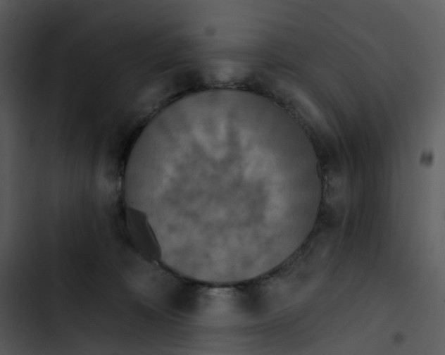 X0000102850324200809081249