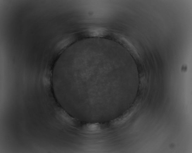 X0000102850325200809081249