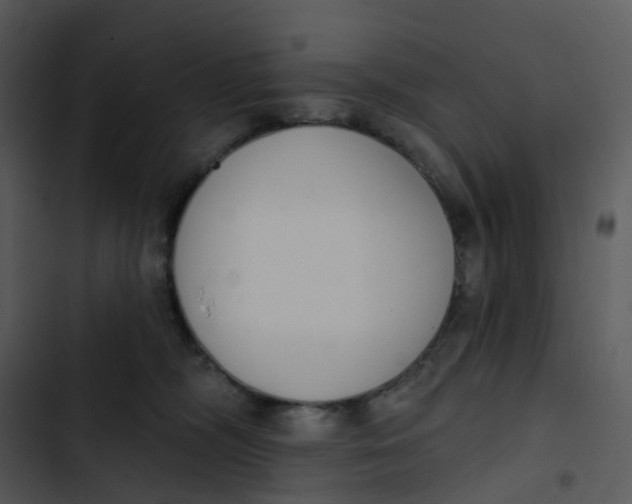 X0000102850326200809081249