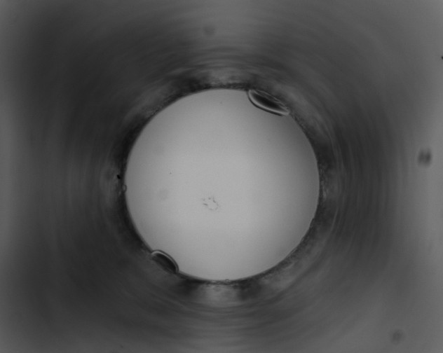 X0000102850327200809081249