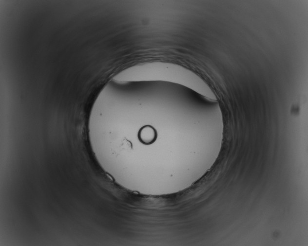 X0000102850328200809081249