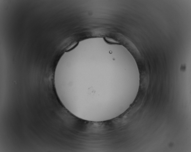 X0000102850329200809081249