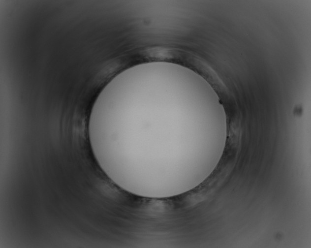 X0000102850330200809081249