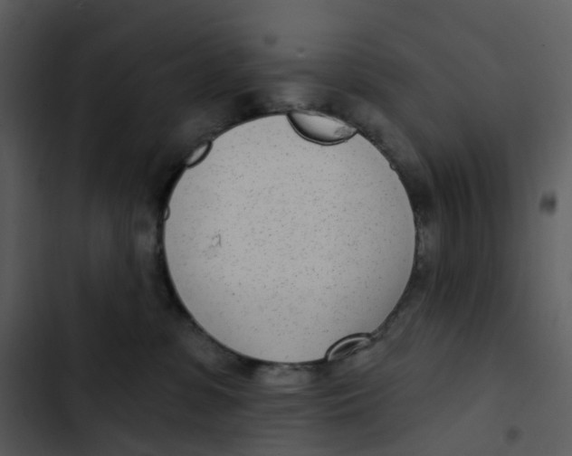 X0000102850331200809081249