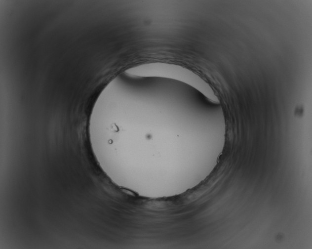 X0000102850332200809081249