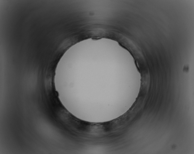 X0000102850333200809081249