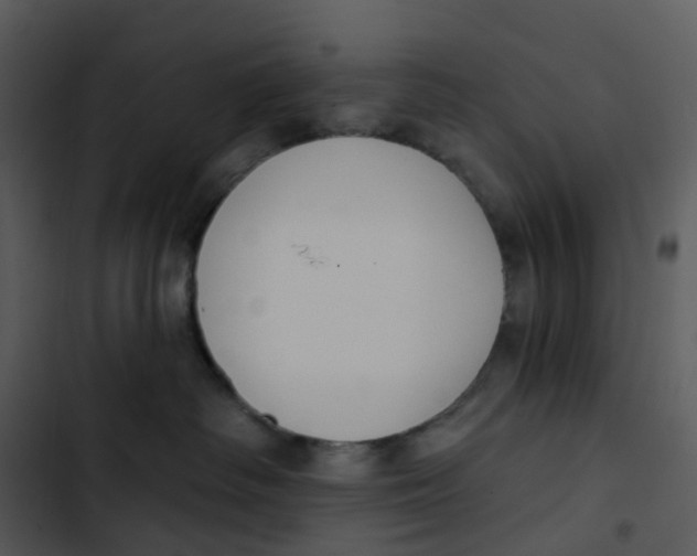 X0000102850334200809081249