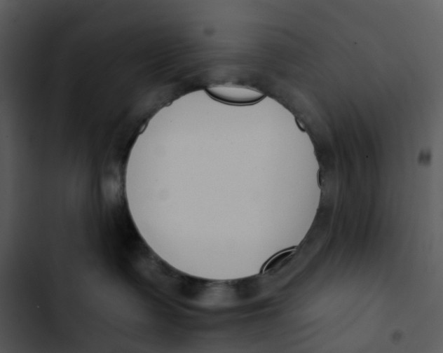 X0000102850335200809081249