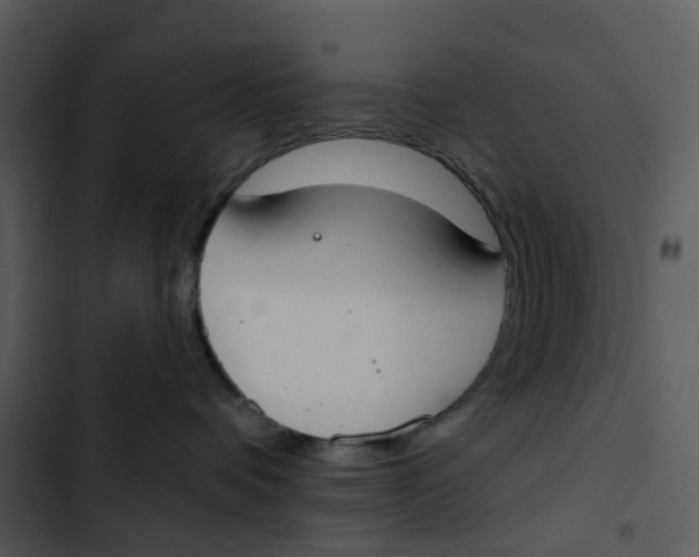 X0000102850336200809081249