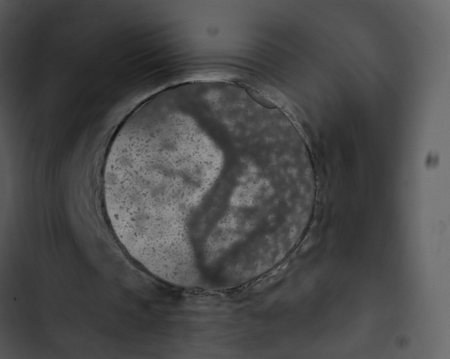 X0000102850337200809081248