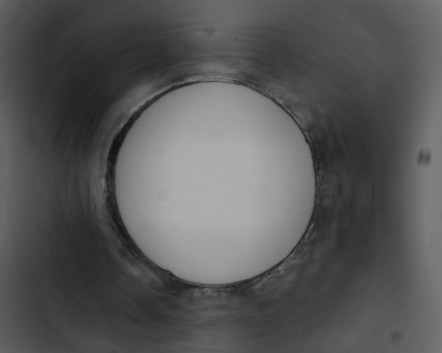 X0000102850338200809081248