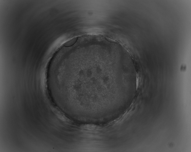 X0000102850339200809081248