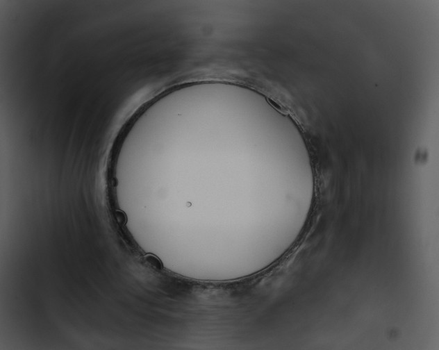 X0000102850340200809081248