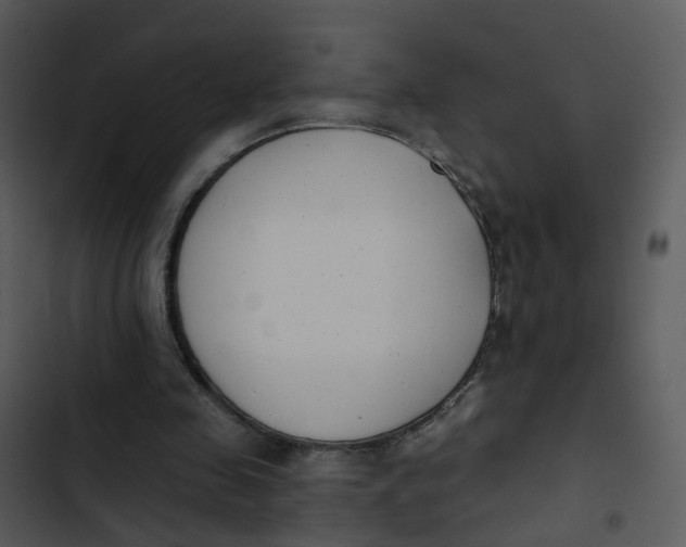 X0000102850341200809081249