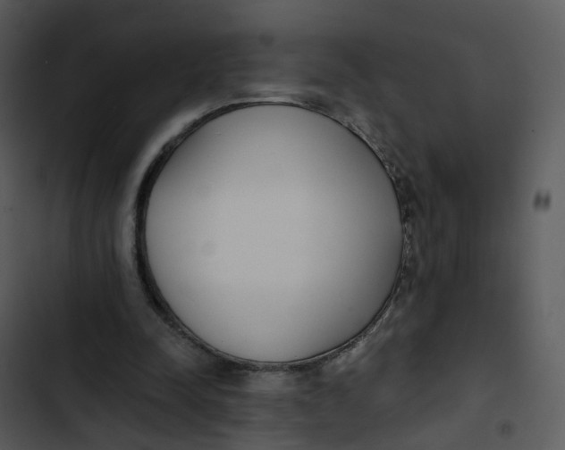 X0000102850342200809081249