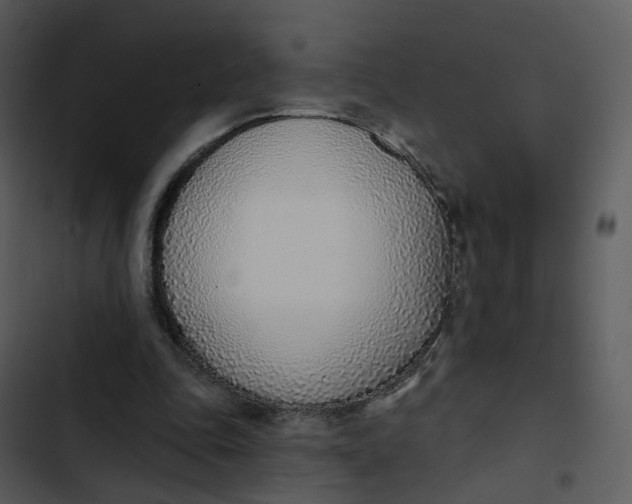 X0000102850343200809081249