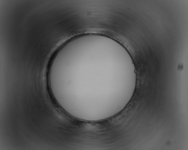 X0000102850346200809081249