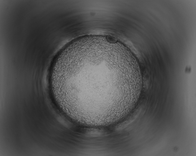 X0000102850347200809081249