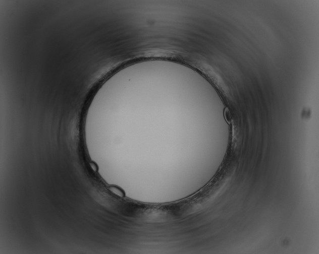 X0000102850348200809081249