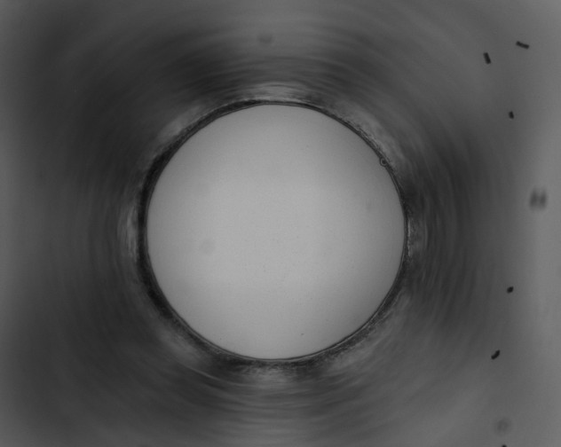 X0000102850349200809081249