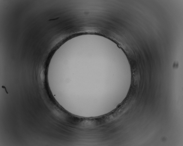 X0000102850350200809081249