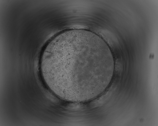 X0000102850351200809081249